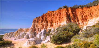 Pinnacles - Eden - NSW SQ (PBH4 00 8514)